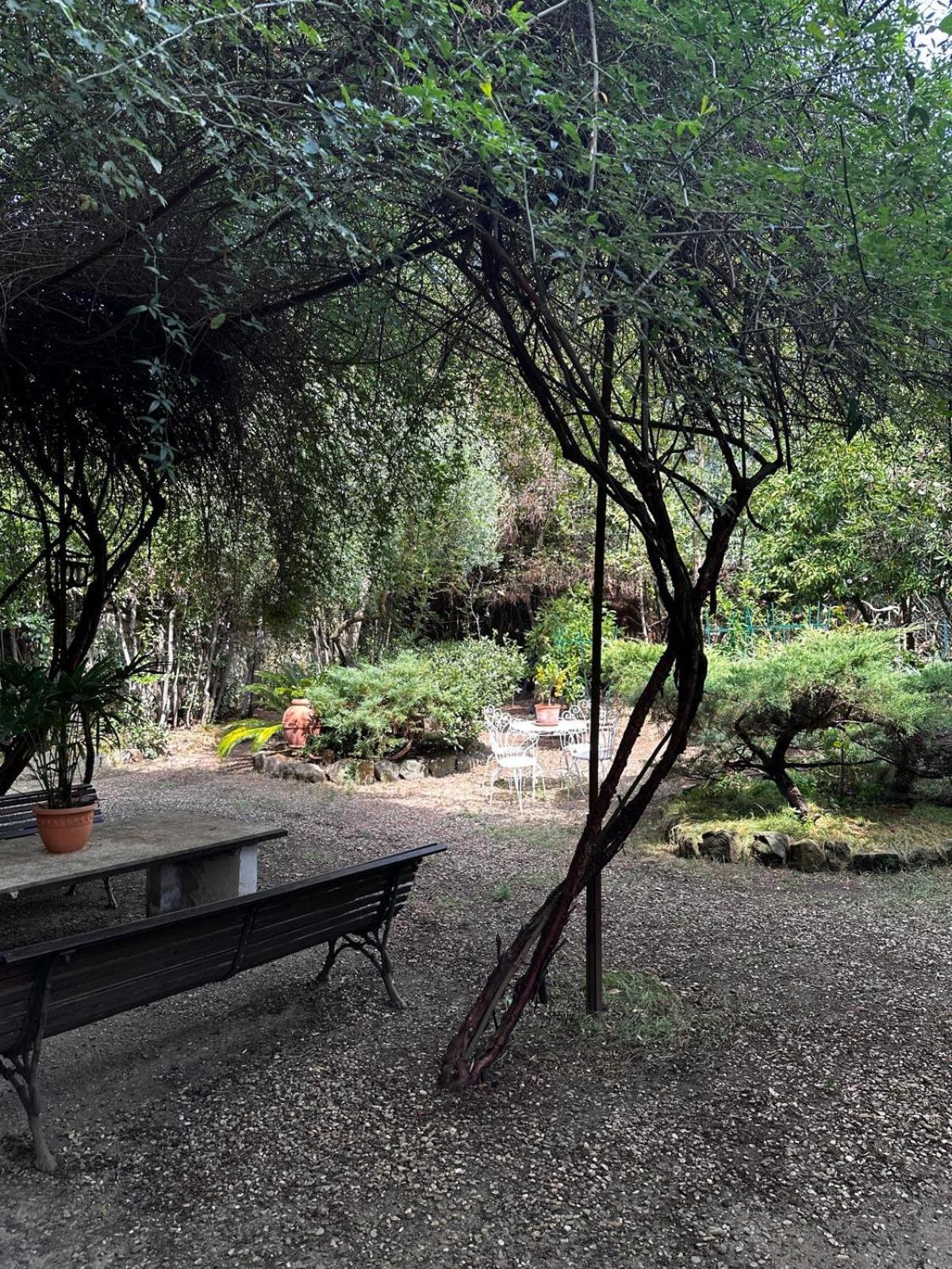 4 Suites, Frescoes And Garden Florence